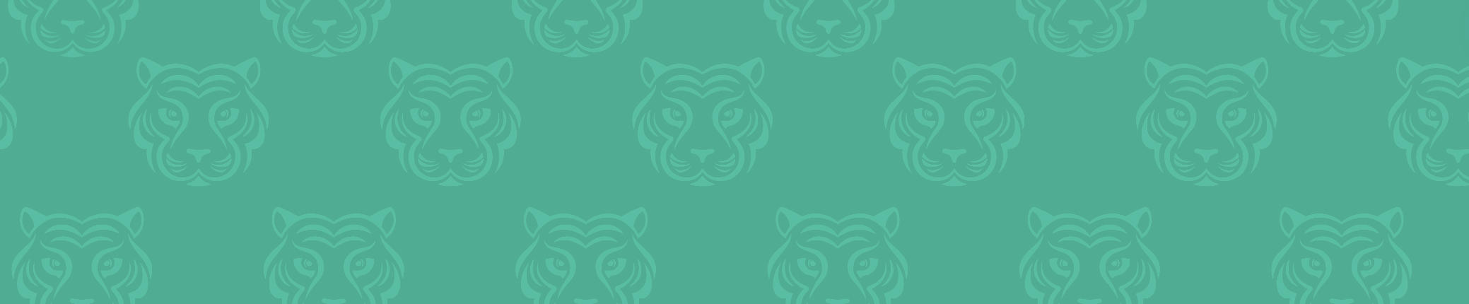 Tiger pattern banner